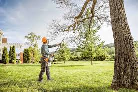 Why Choose Our Tree Removal Services in Roseland, LA?